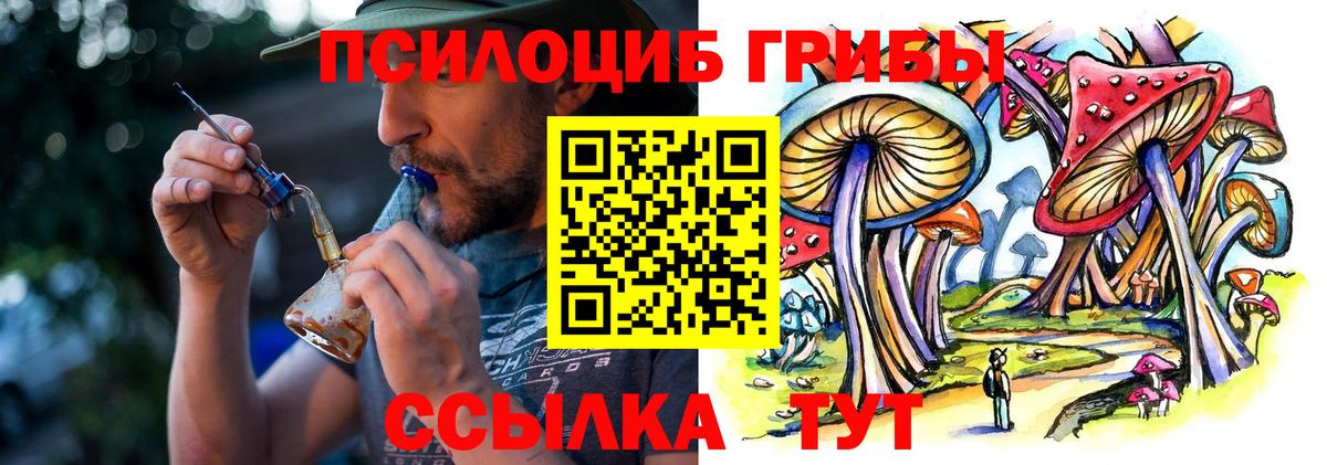 Галлюциногенные грибы прущие грибы Щёлково