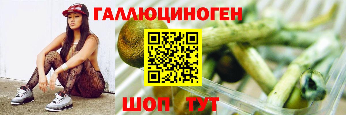 Щёлково  Галлюциногенные грибы мицелий  Вход с VPN 